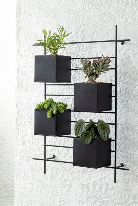 20 Best Wall Planters Gorgeous Indoor, Wall Planters Outdoor