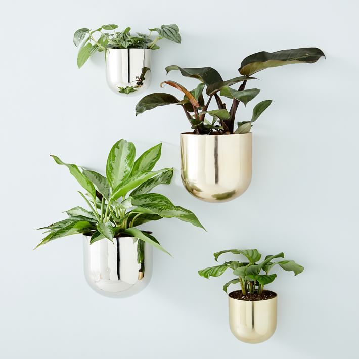 20 Best Wall Planters Gorgeous Indoor And Outdoor Plant Holders - White Ceramic Indoor Wall Planter