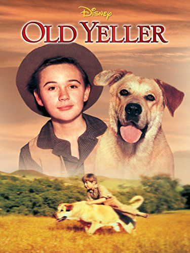 35 Best Animal Movies for Kids 2022 - Top Movies About Animals 35 Best Animal Movies for Kids 2022 - Top Movies About Animals