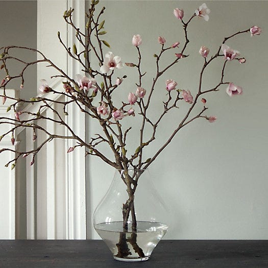 Tulip Magnolia Branches