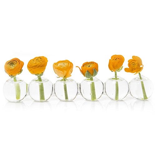 Caterpillar clear glass bud vase Caterpillar clear glass bud vase