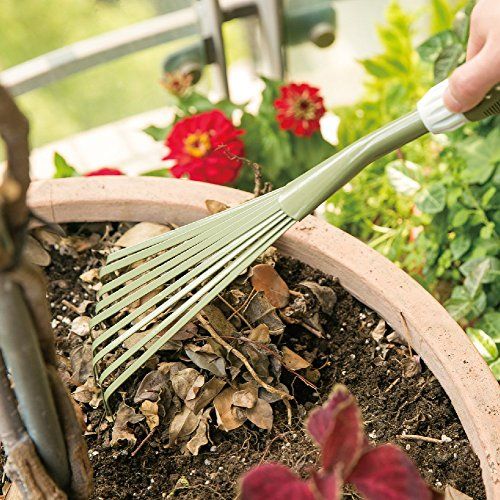 10 Best Gardening Tips and Tricks Ever