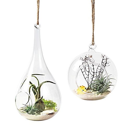 terrariums