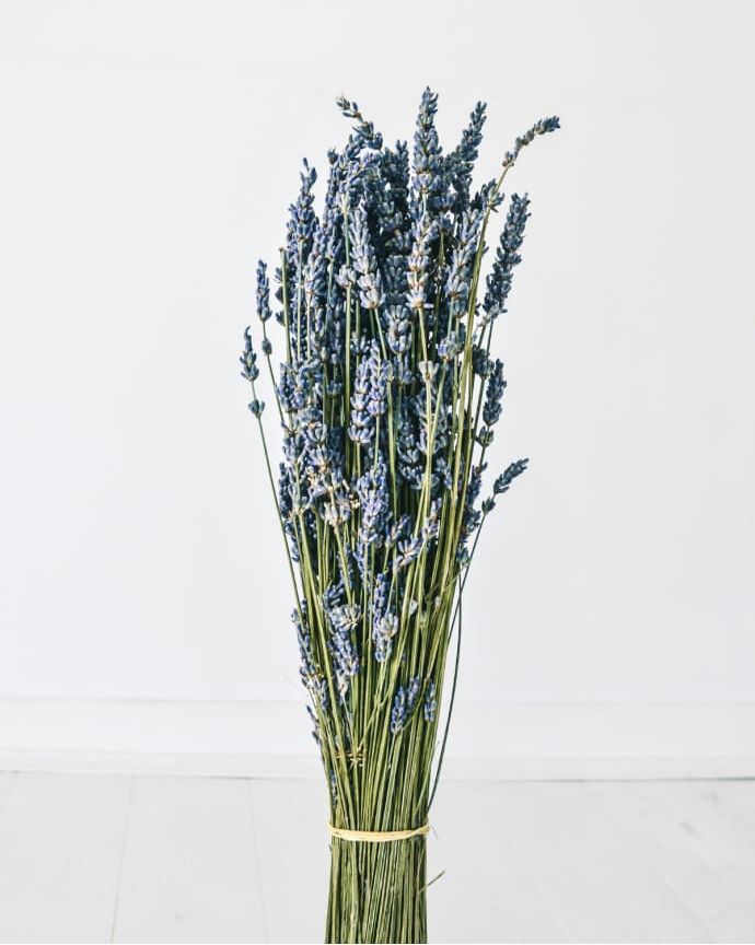 Dried Natural Fragrant Lavender Bunch
