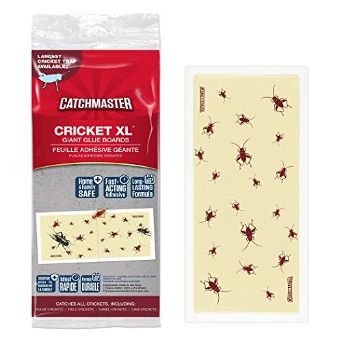Catchmaster Cricket XL Glue Traps