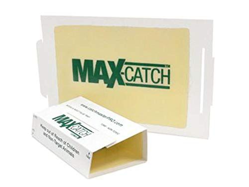 Catchmaster 72MAX Pest Traps
