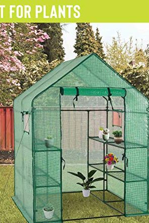 Deluxe Wired Greenhouse 