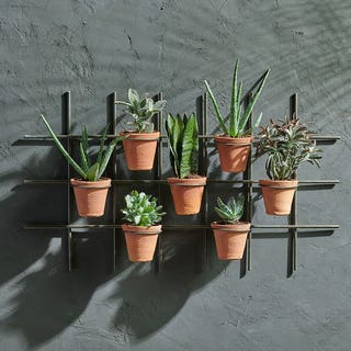 Jara Terracotta Wall Hung Planter Jara Terracotta Wall Hung Planter