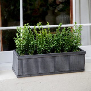 Vence Window Box Vence Window Box