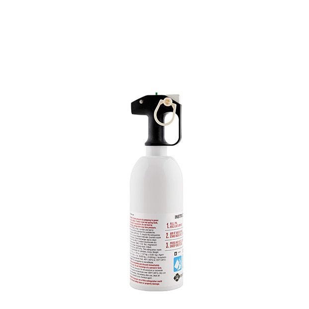 First Alert Kitchen Fire Extinguisher