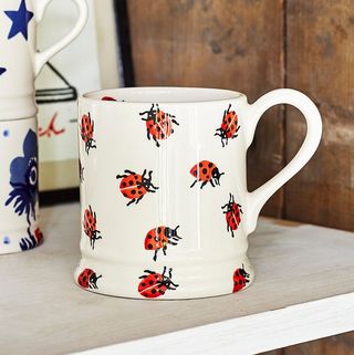 Emma Bridgewater Insect Ladybug Mug