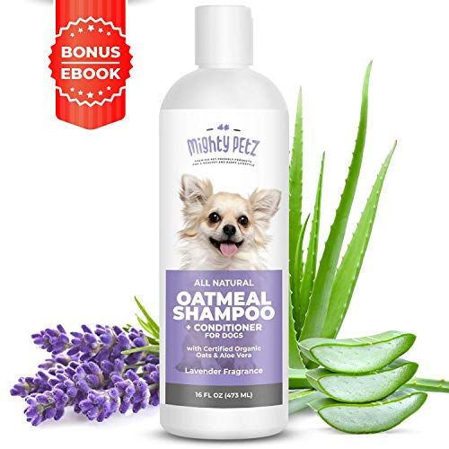 chi dry shampoo for dogs