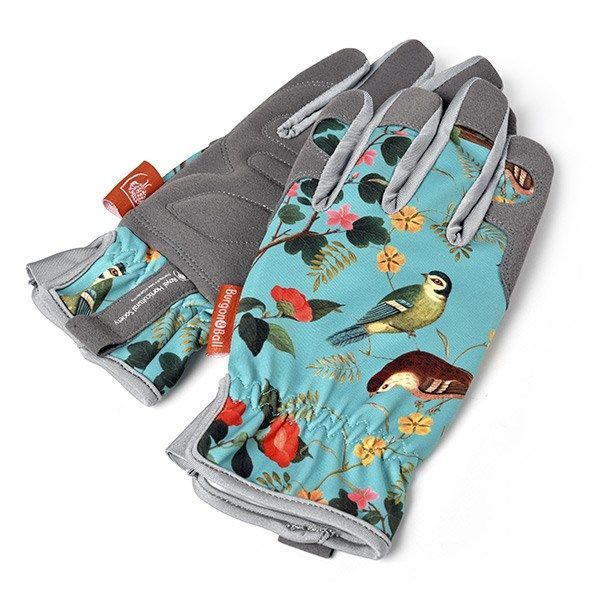 royal horticultural society gloves