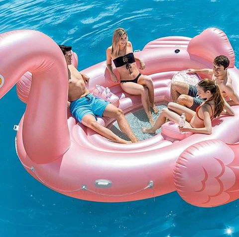 Flamingo Instagram Pool Float