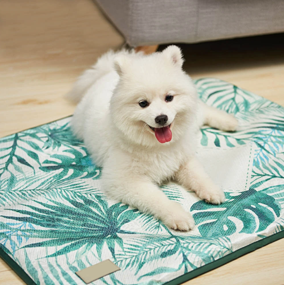 cooling mat for dogs canada