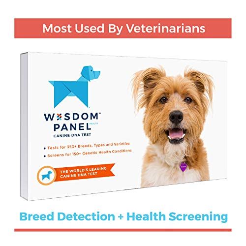 Wisdom panel outlet 3.0 breed identification