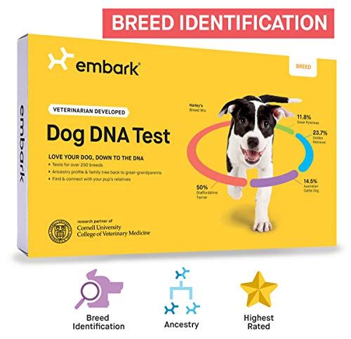 Canine best sale dna testing