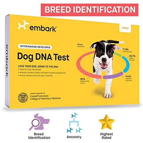 Embark Breed Identification 