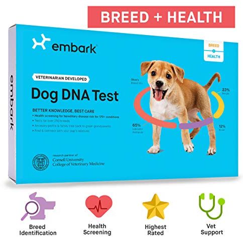 Embark Breed & Health Kit 