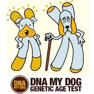 Genetic Age Test + Breed Identification