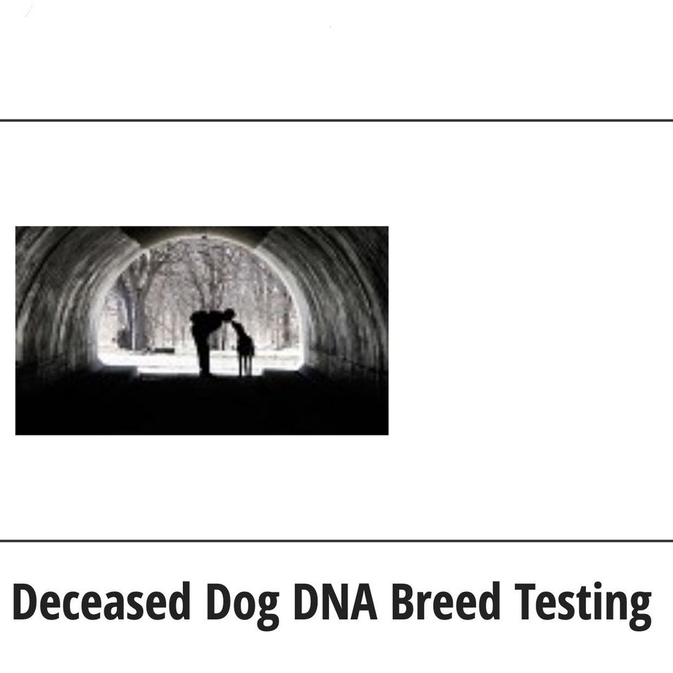 Deceased Dog DNA Breed Testing