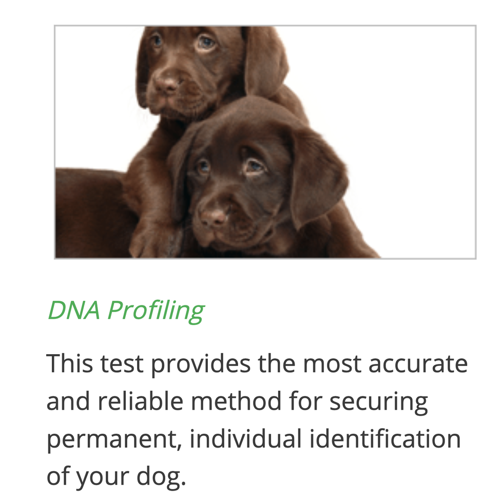 Canine DNA Profiling