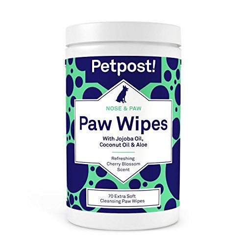 Paw Wipes for Dogs