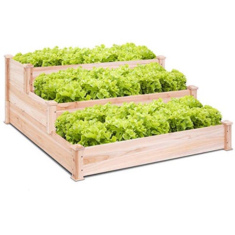 15 Best Raised Garden Beds Bed Kit - Outdoor Vegetable Garden Kit 15 Best Raised Garden Beds Bed Kit - Outdoor Vegetable Garden Kit
