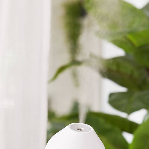 4 Best Humidifiers For Dry Skin 2020 How Humidifiers Fix Dry Skin