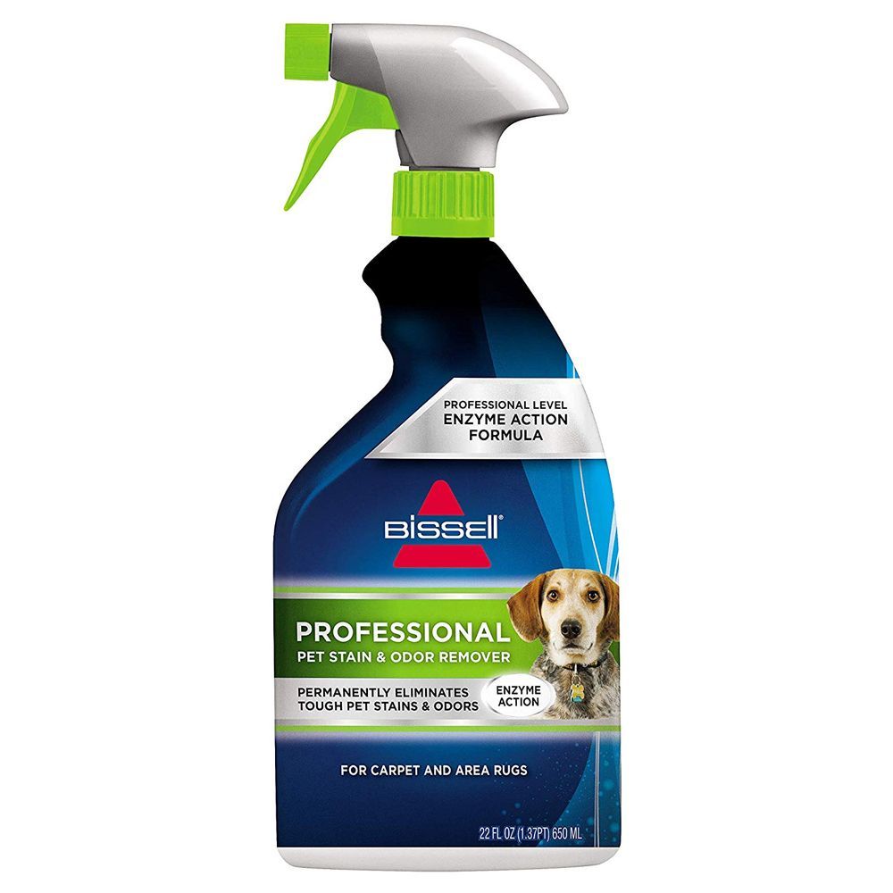 Professional Stain & Odor Remover 
