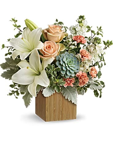 Mother's Day 2021: 6 ideas for next day delivery on flowers and gifts