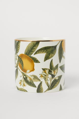 Porcelain plant pot