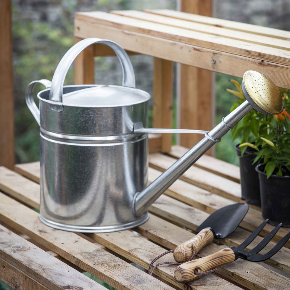 Galvanised Watering Can