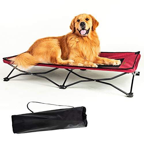 Elevated Pet Bed 