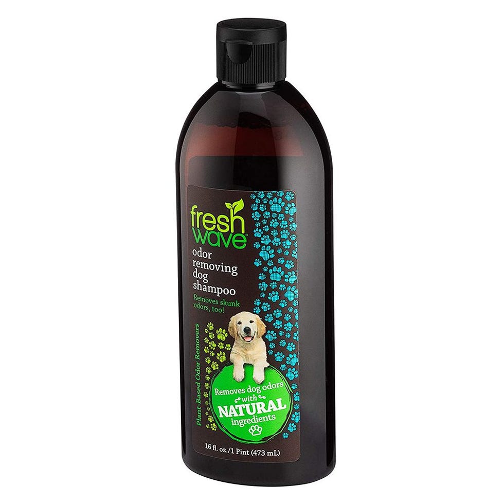 11 Best Dog Shampoos for 2020 - Top Dog Shampoo Brands