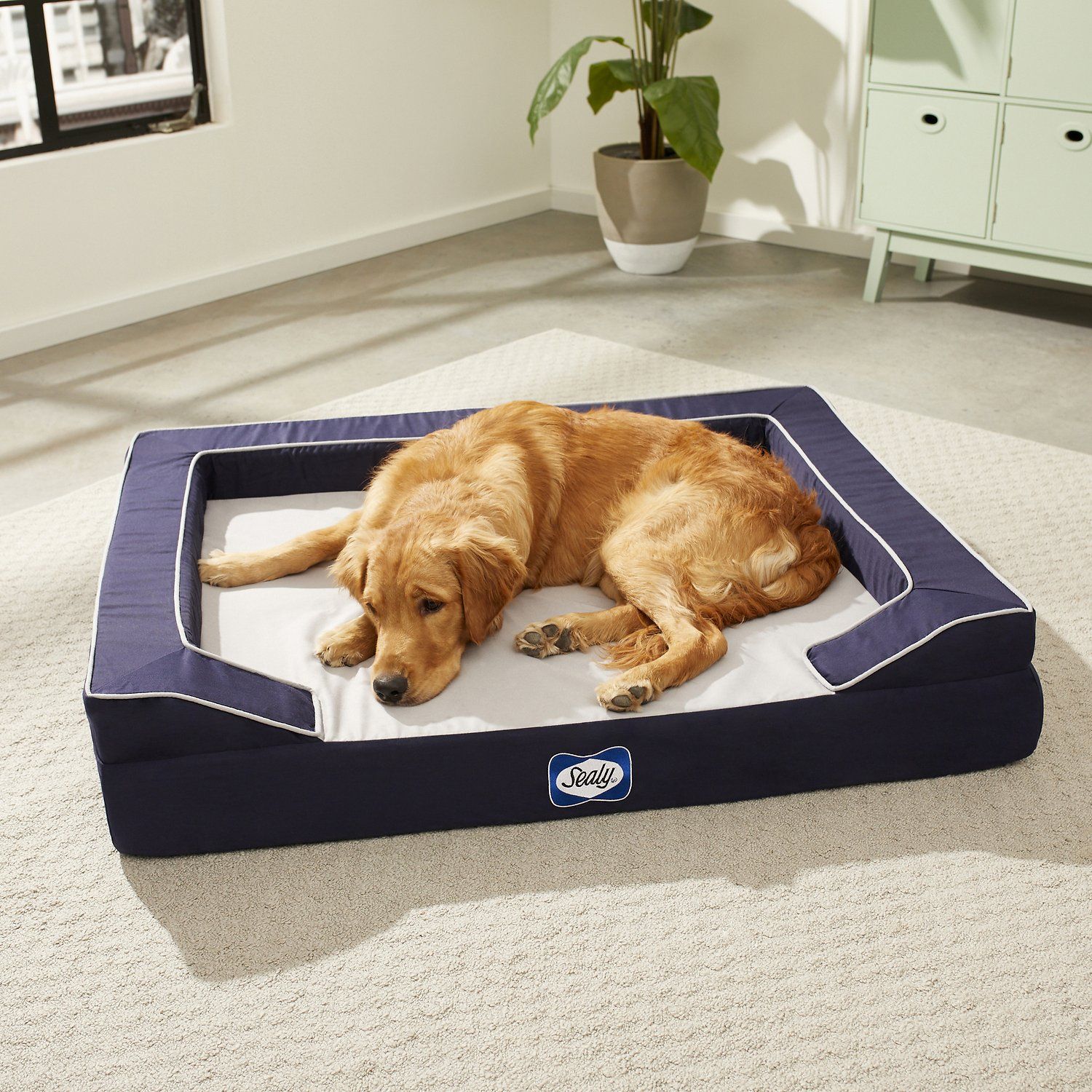 dog beds to keep them cool