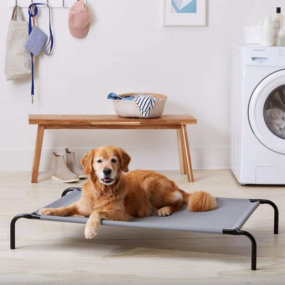 Cooling Elevated Pet Bed