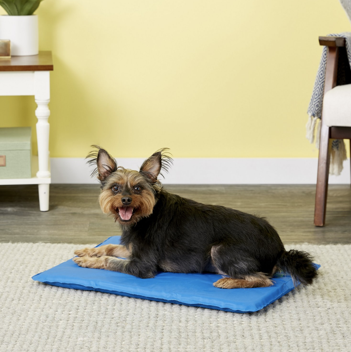 dog bed cooling mat
