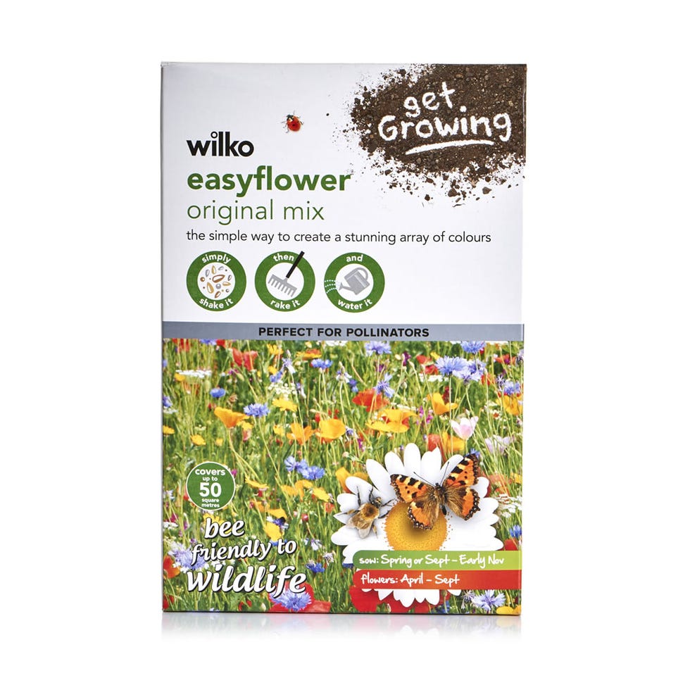 Wilko Easy Flower Original Mix Seeds 500g