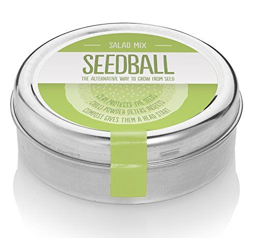 Grow Your Own Salad With Seedball. Mix Of Rocket, Greek Cress, Kale, Red Mustard & Green Mustard. Super Easy To Use & Grow. ✮ COVERS 5 LARGE POTS! ✮ 20 Seed Balls Per Tin *Ideal Kitchen Garden Gift*