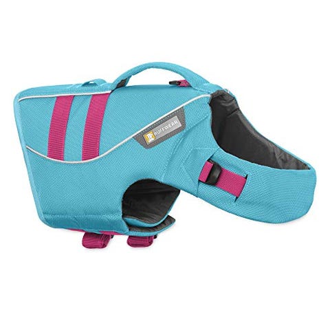 dog backpack for exercise