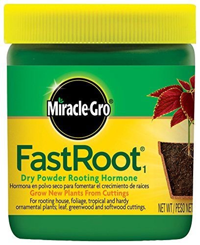 Miracle-Gro FastRoot1 Dry Powder Rooting Hormone 1.25 oz., Houseplant and Succulent Propagation,for Rooting House, Foliage, Tropical, and Hardy Ornamental Plants