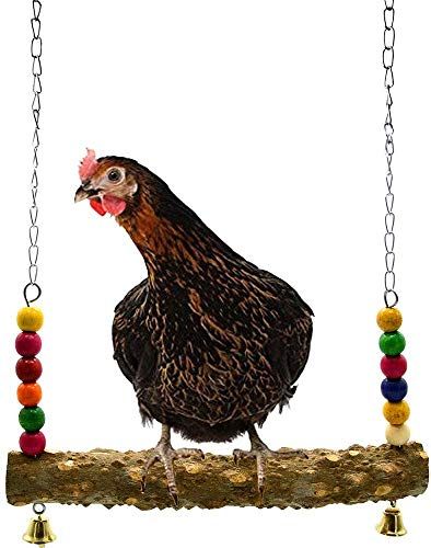 Country living Men or Women/'s Chicken Socks Chicken lover Gift idea Farming