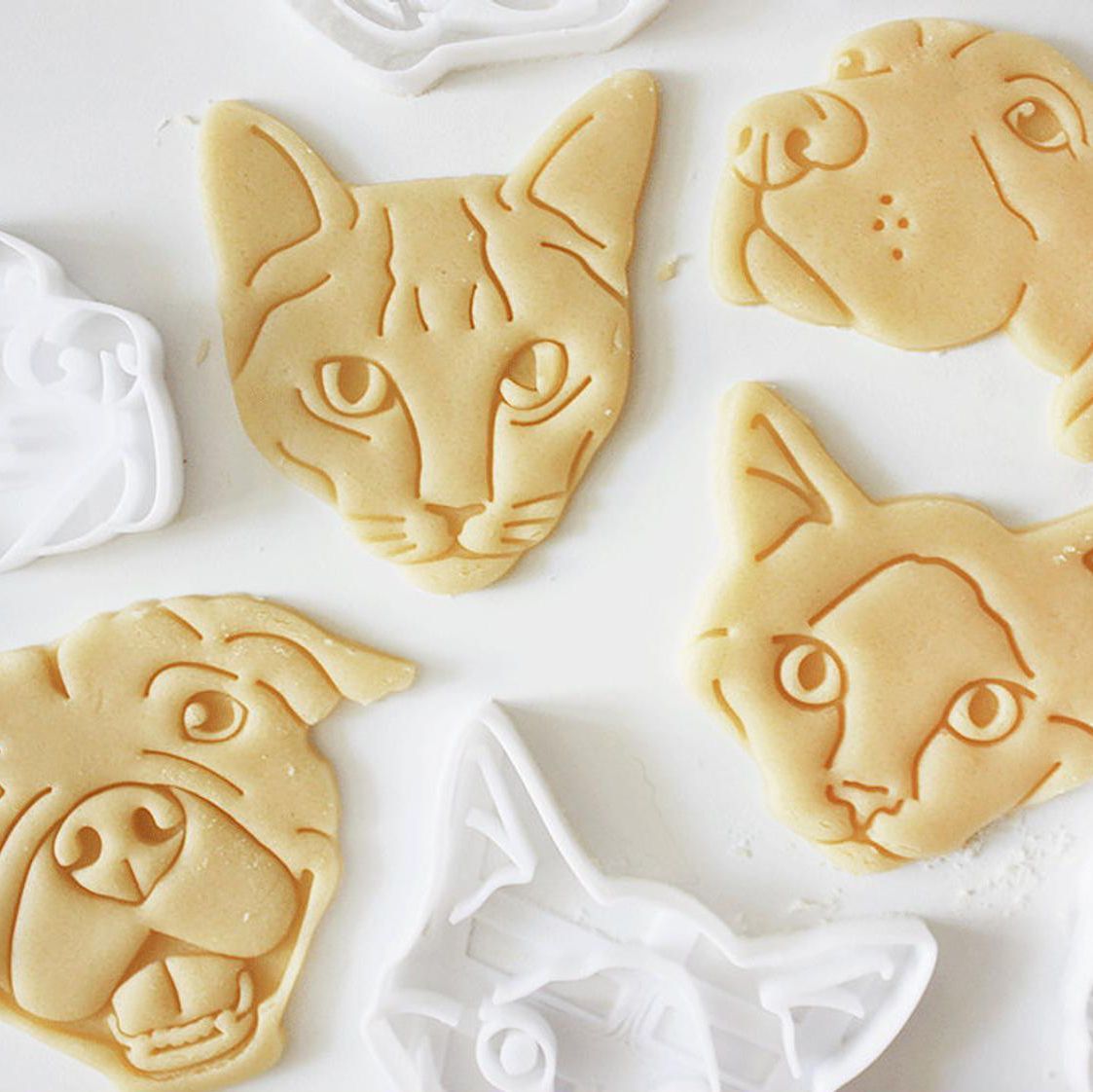 pyramid cookiecutter トップ セットアップ