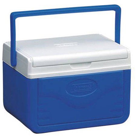upright portable cooler