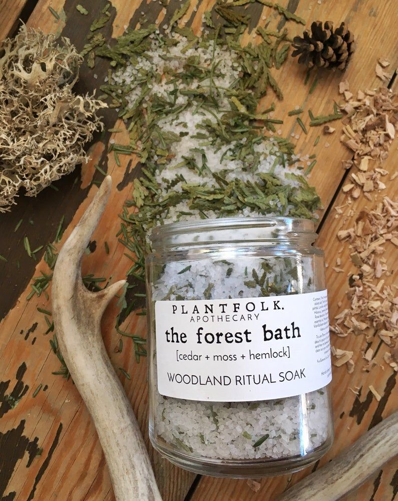 The Forest Bath