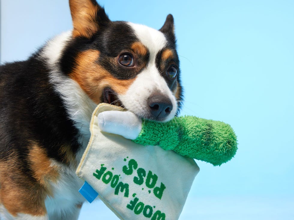 "Spinach Burrito" Toy
