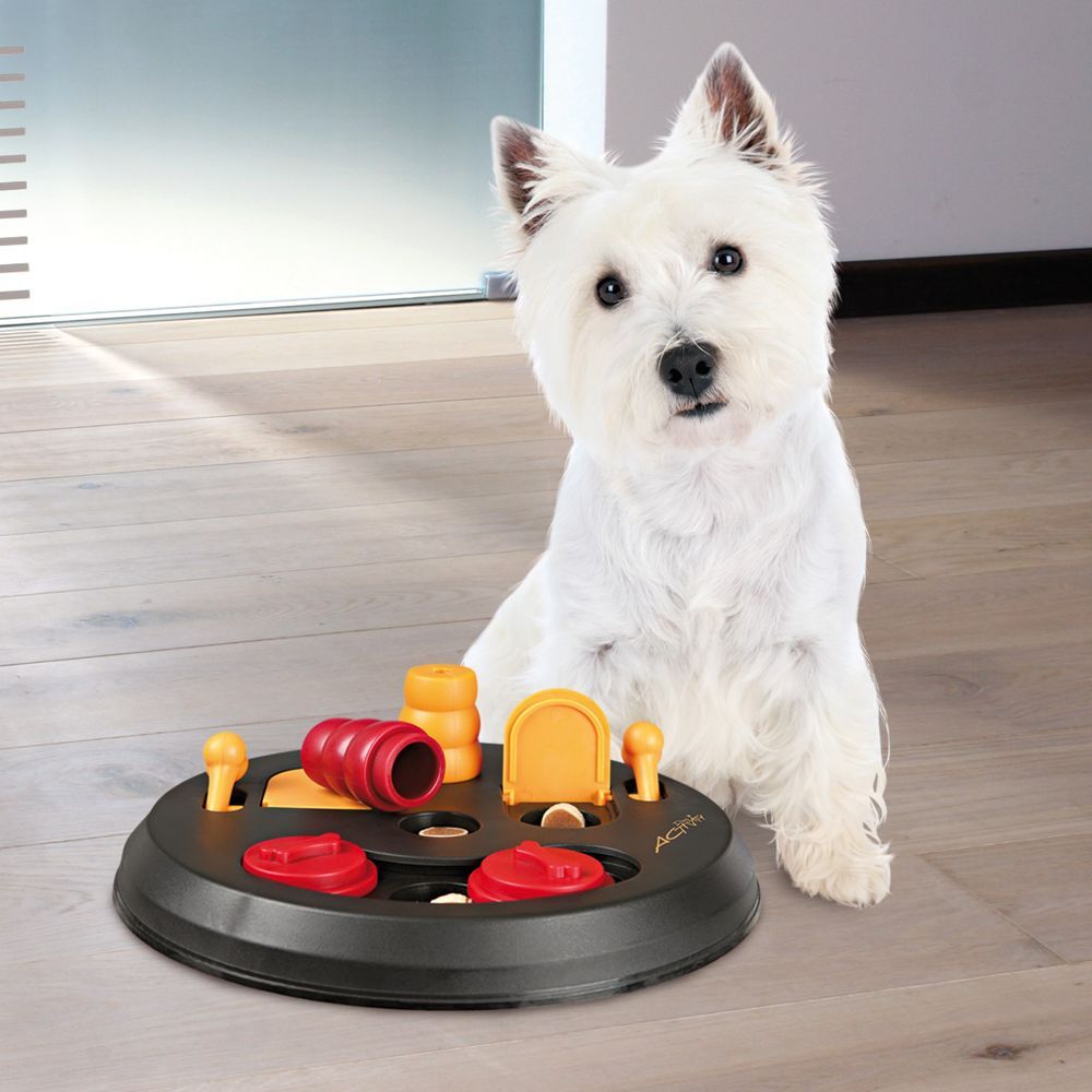 dog puzzle toys petsmart