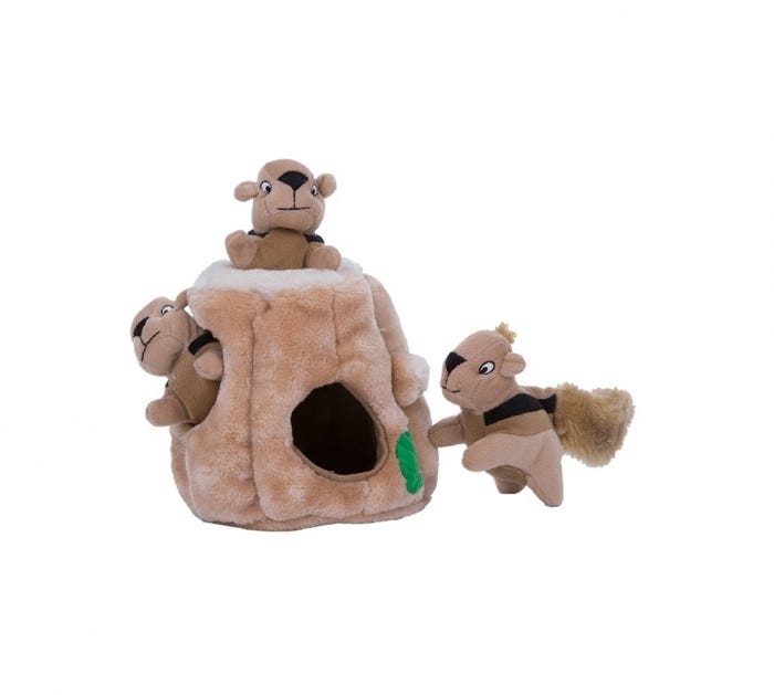 Pet Supplies : iDig Stay Digging Toy for Dogs 