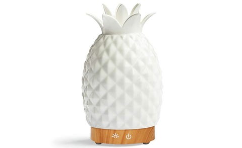 Essential Oil Diffuser and Humidifier